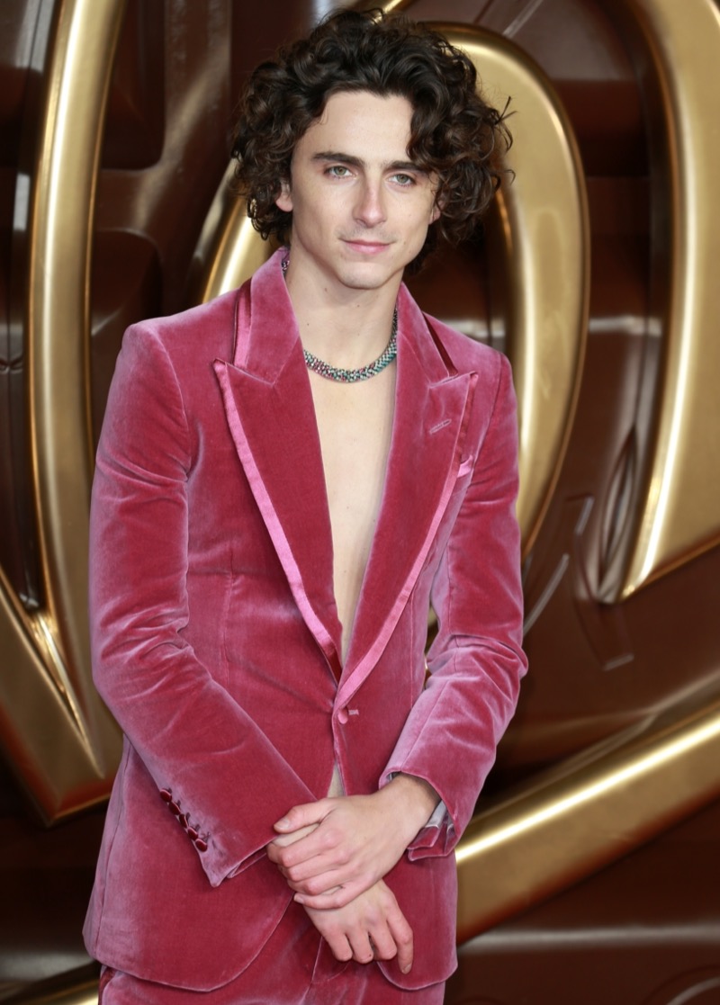 Timothée Chalamet Gen Z Baby Girl Trend